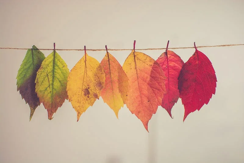 ISO 27001 – Clause 6.3 – Change planning
